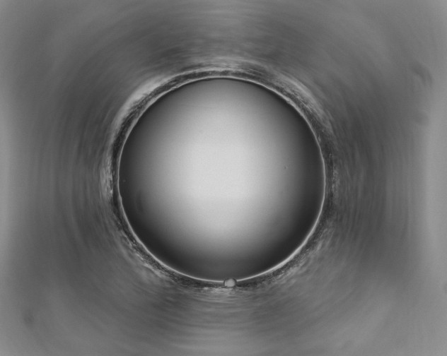 X0000112721172200908201242