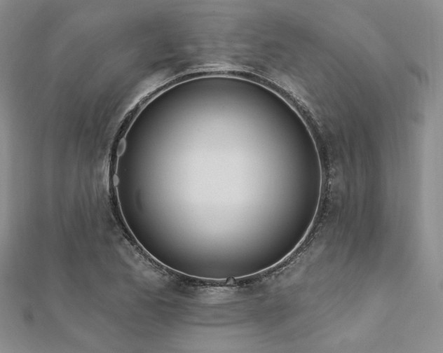 X0000112721173200908201242