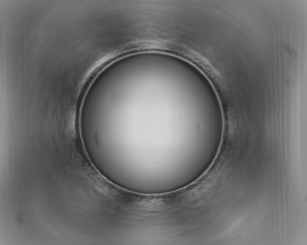 X0000112721174200908201242