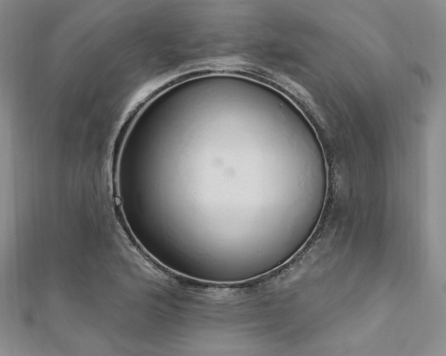 X0000112721176200908201242