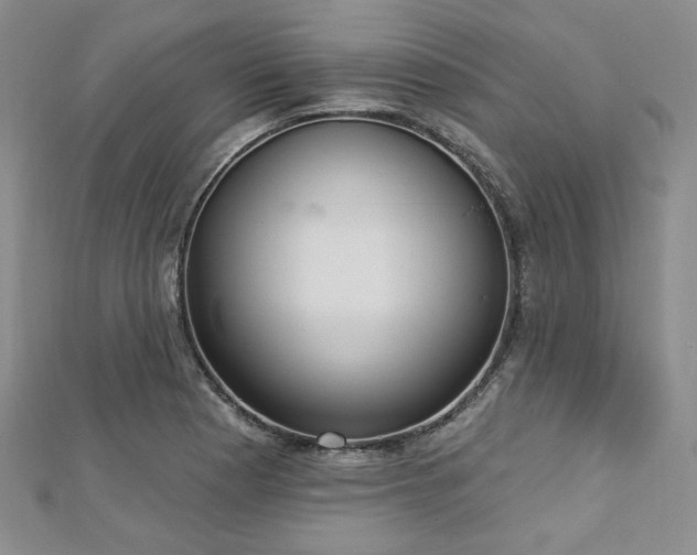 X0000112721177200908201242