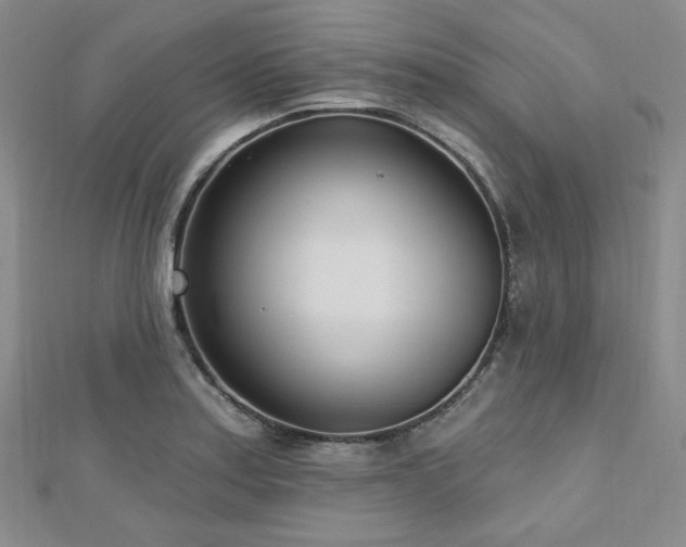 X0000112721179200908201242