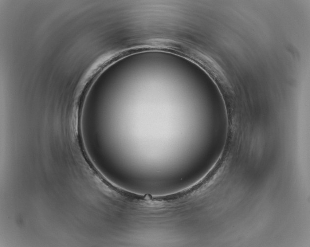 X0000112721180200908201242