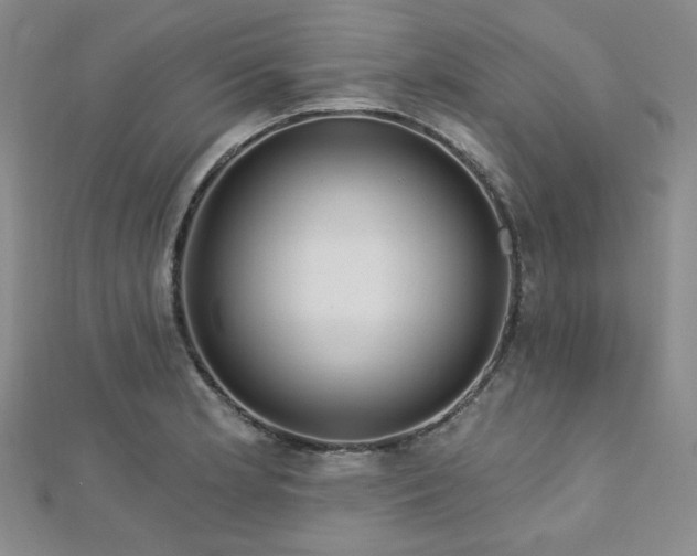 X0000112721181200908201242