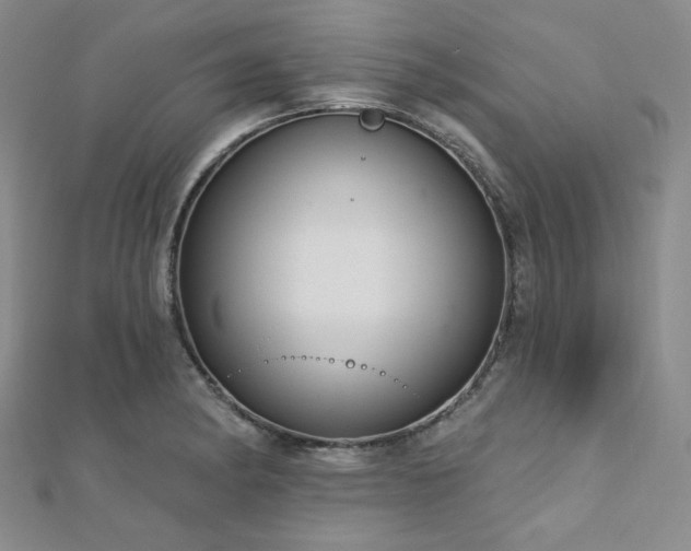 X0000112721182200908201242