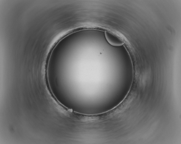 X0000112721183200908201242