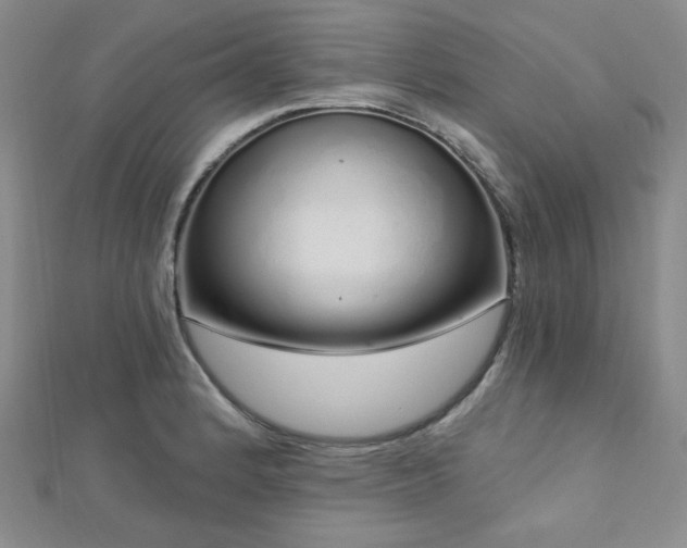 X0000112721184200908201242