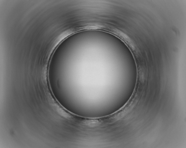 X0000112721186200908201242