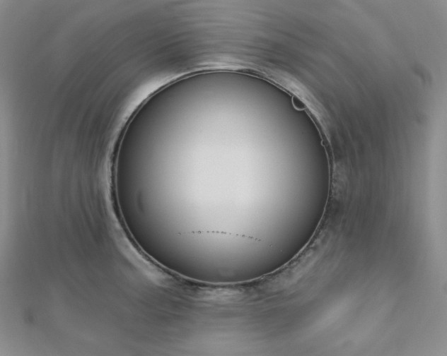 X0000112721187200908201242