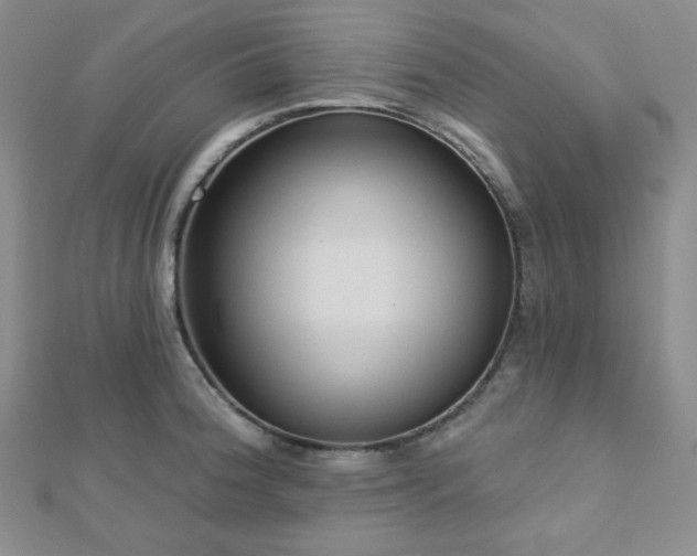 X0000112721188200908201242