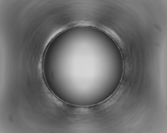 X0000112721190200908201242