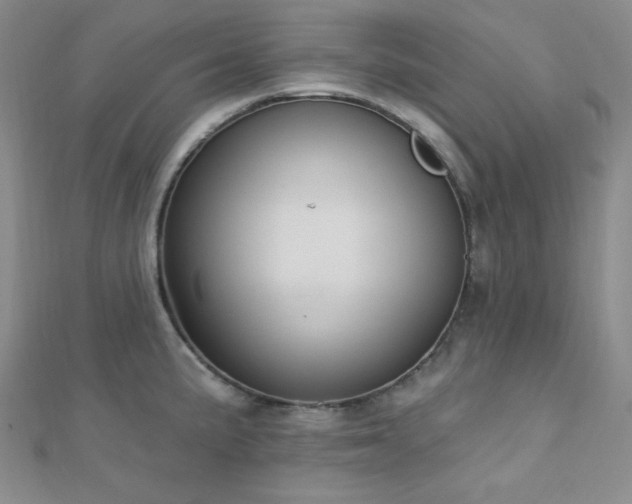 X0000112721191200908201241