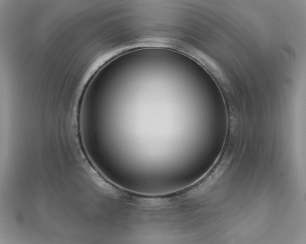 X0000112721192200908201241
