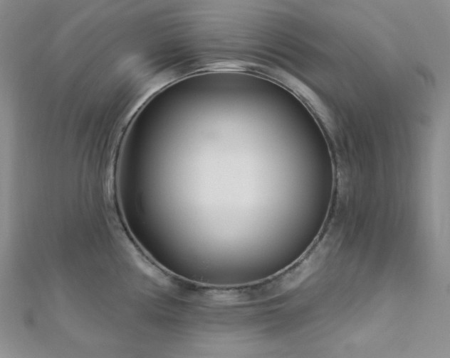 X0000112721194200908201241
