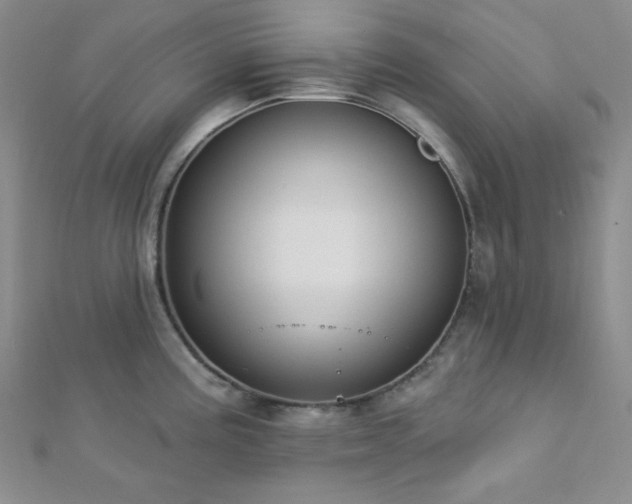 X0000112721195200908201241