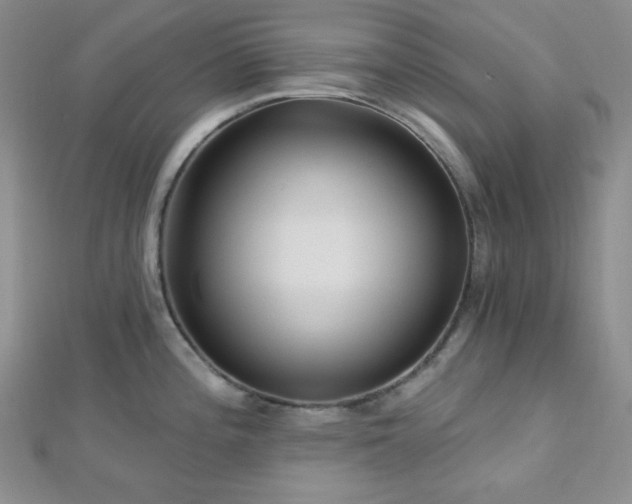 X0000112721196200908201241