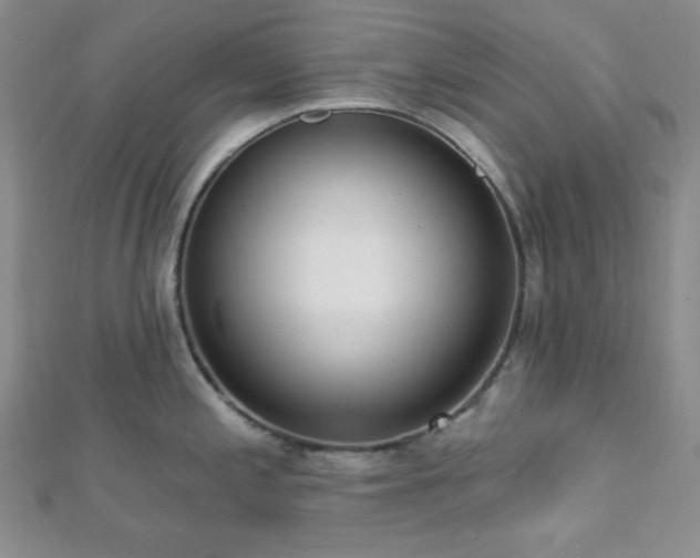X0000112721197200908201241