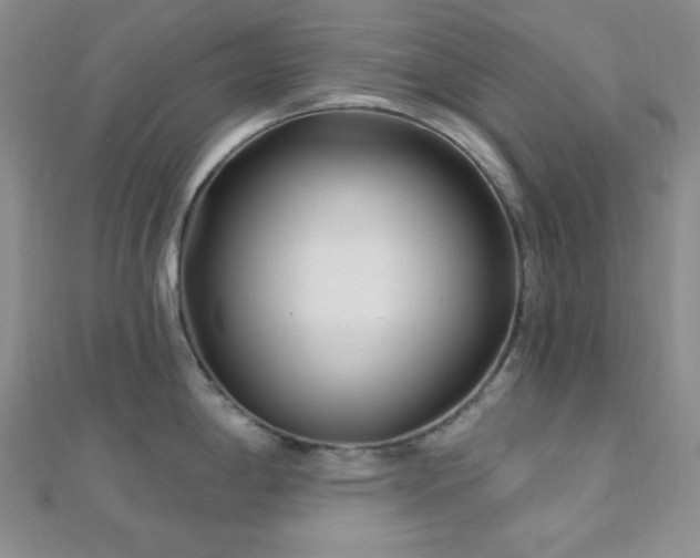 X0000112721198200908201241