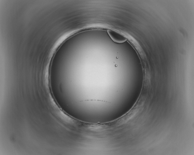 X0000112721199200908201241
