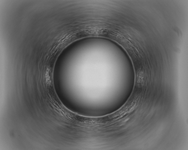 X0000112721202200908201241