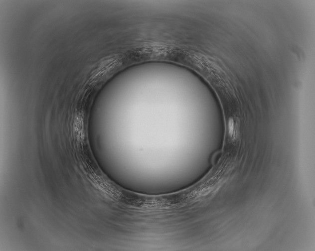 X0000112721203200908201241