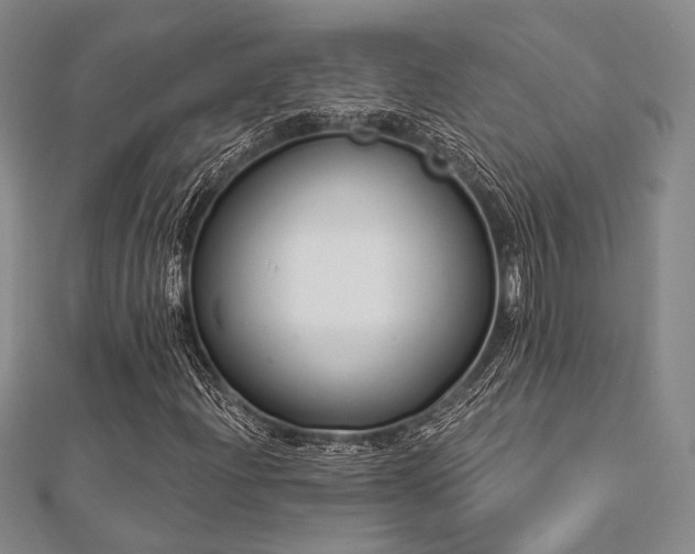 X0000112721204200908201241