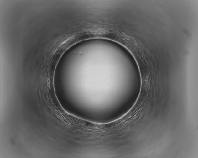 X0000112721205200908201241