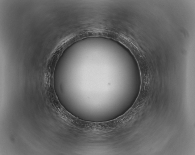 X0000112721207200908201241