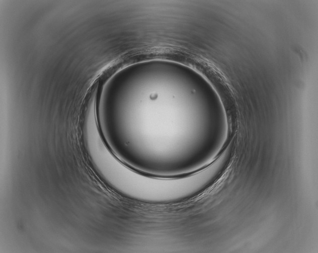 X0000112721210200908201241