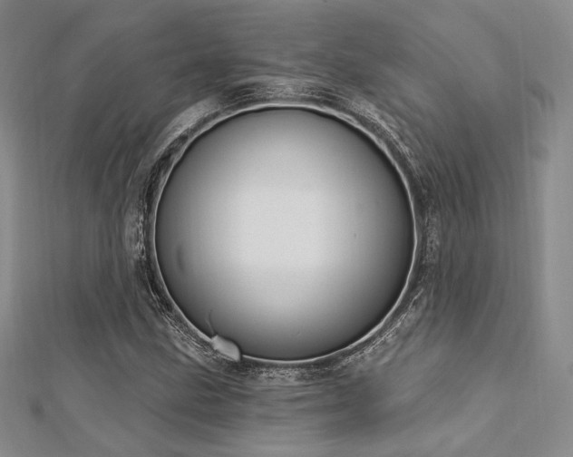 X0000112721211200908201241