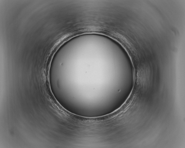 X0000112721212200908201241
