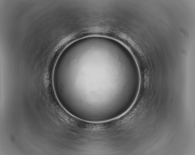 X0000112721213200908201241