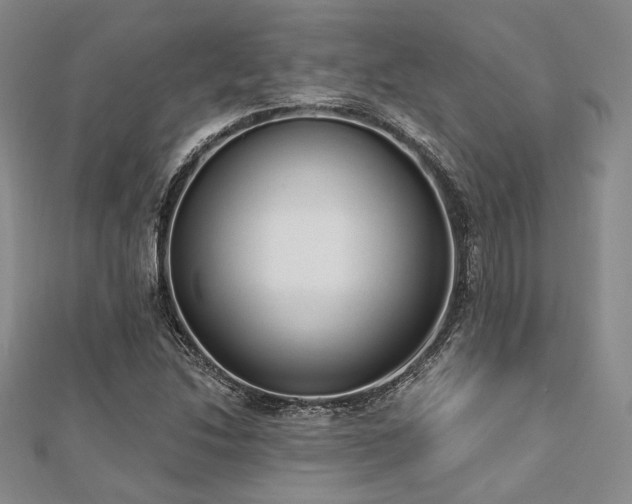 X0000112721214200908201241