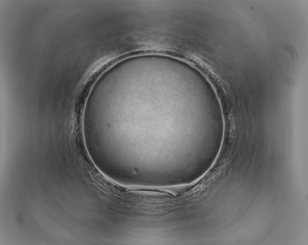 X0000112721215200908201241