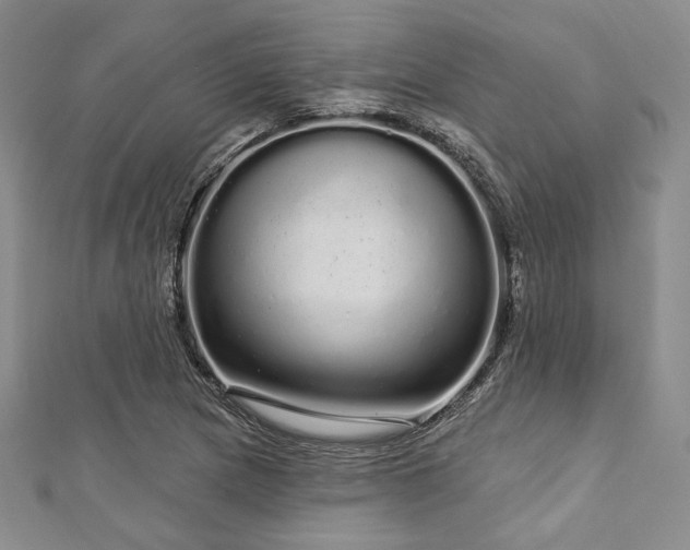 X0000112721217200908201241