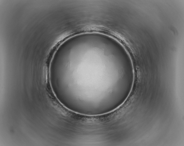 X0000112721219200908201241
