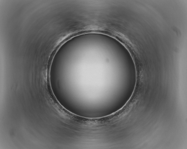 X0000112721220200908201241