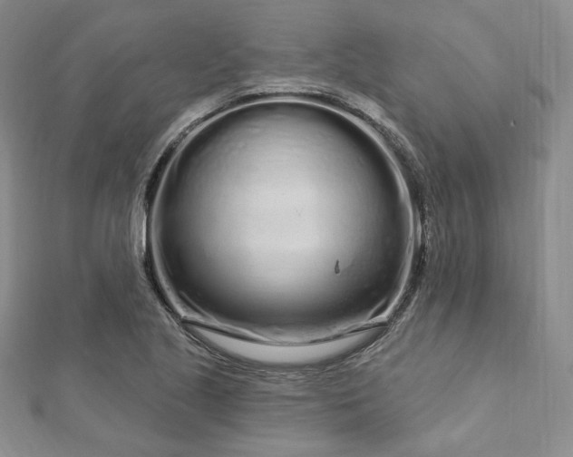 X0000112721221200908201241