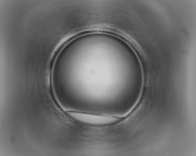 X0000112721224200908201241
