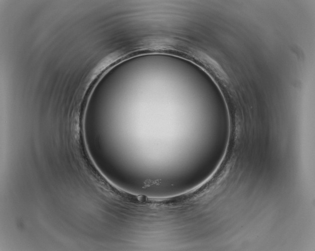 X0000112721226200908201241