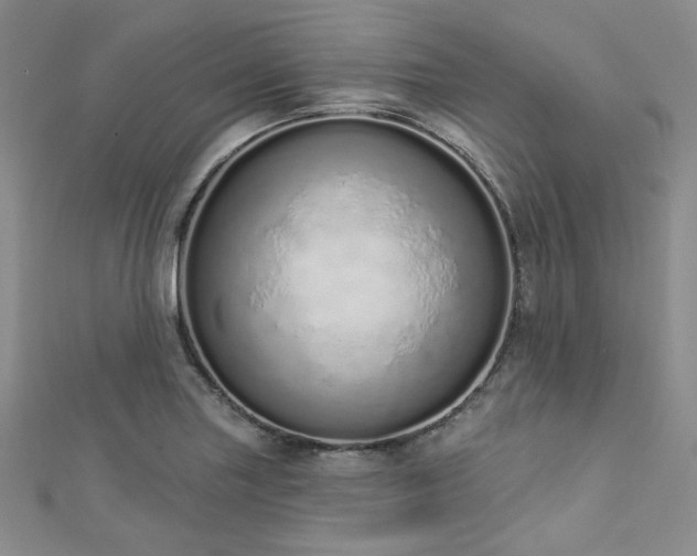 X0000112721227200908201241