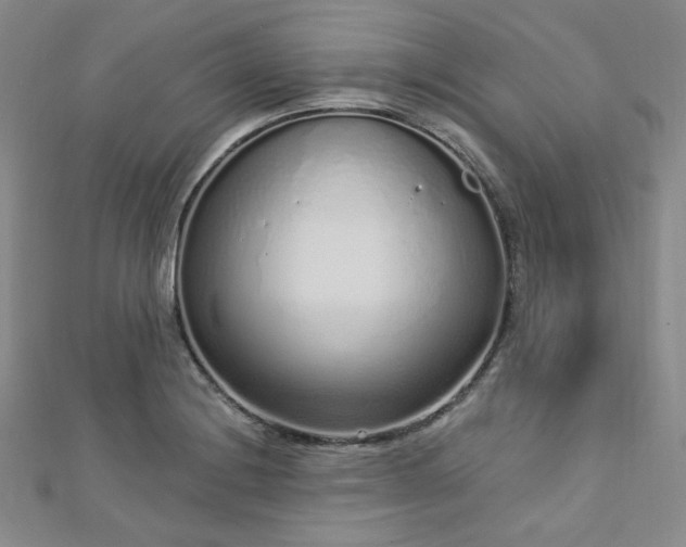 X0000112721228200908201241