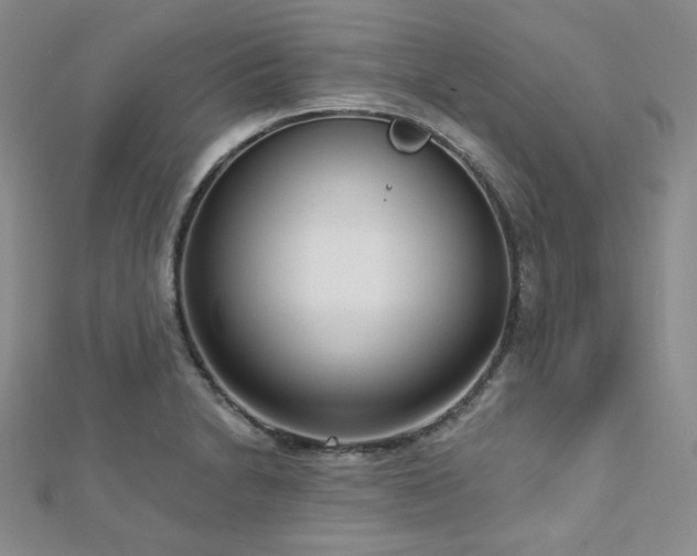 X0000112721230200908201241