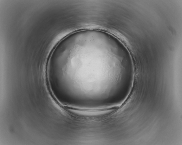 X0000112721231200908201241