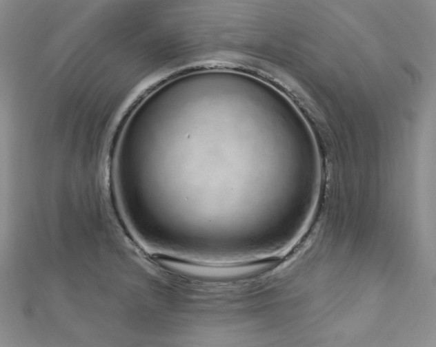 X0000112721232200908201241