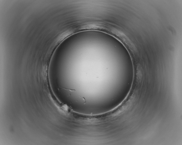 X0000112721233200908201241
