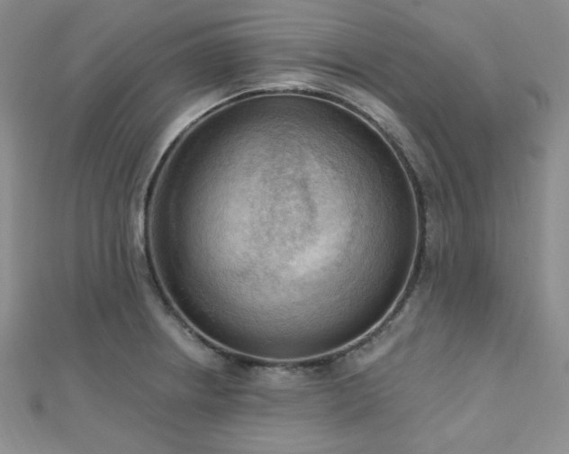 X0000112721234200908201241