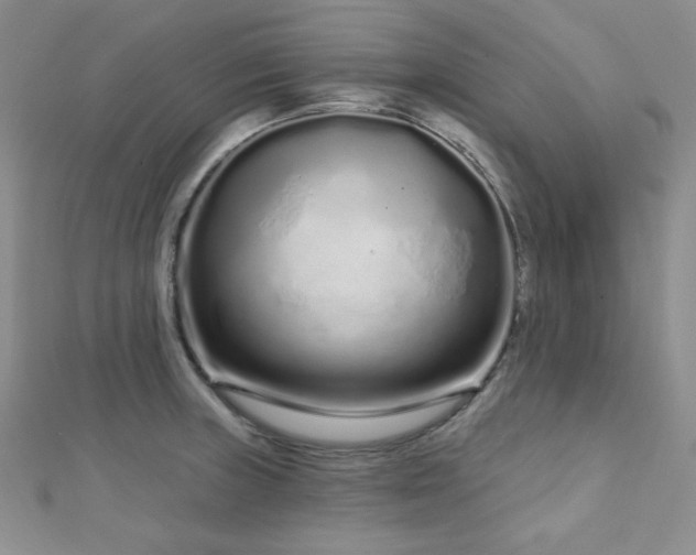 X0000112721235200908201241