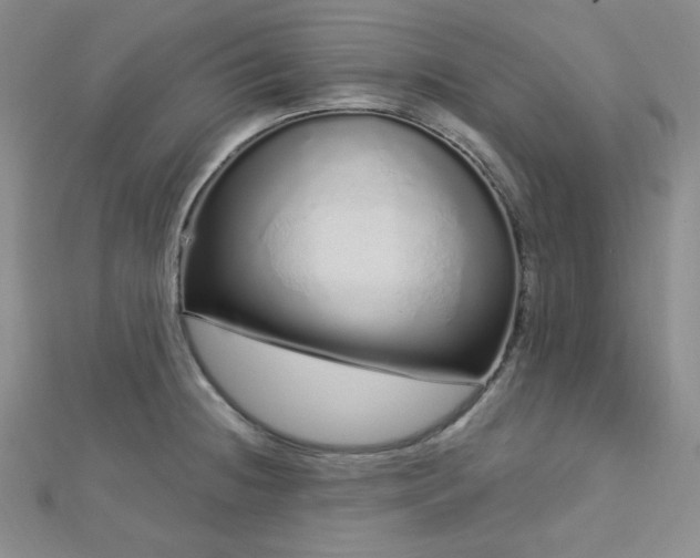 X0000112721236200908201241