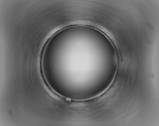 X0000112721237200908201241